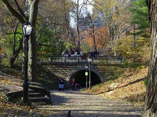 NYC_2012-11-22 13-47-34_P1070545